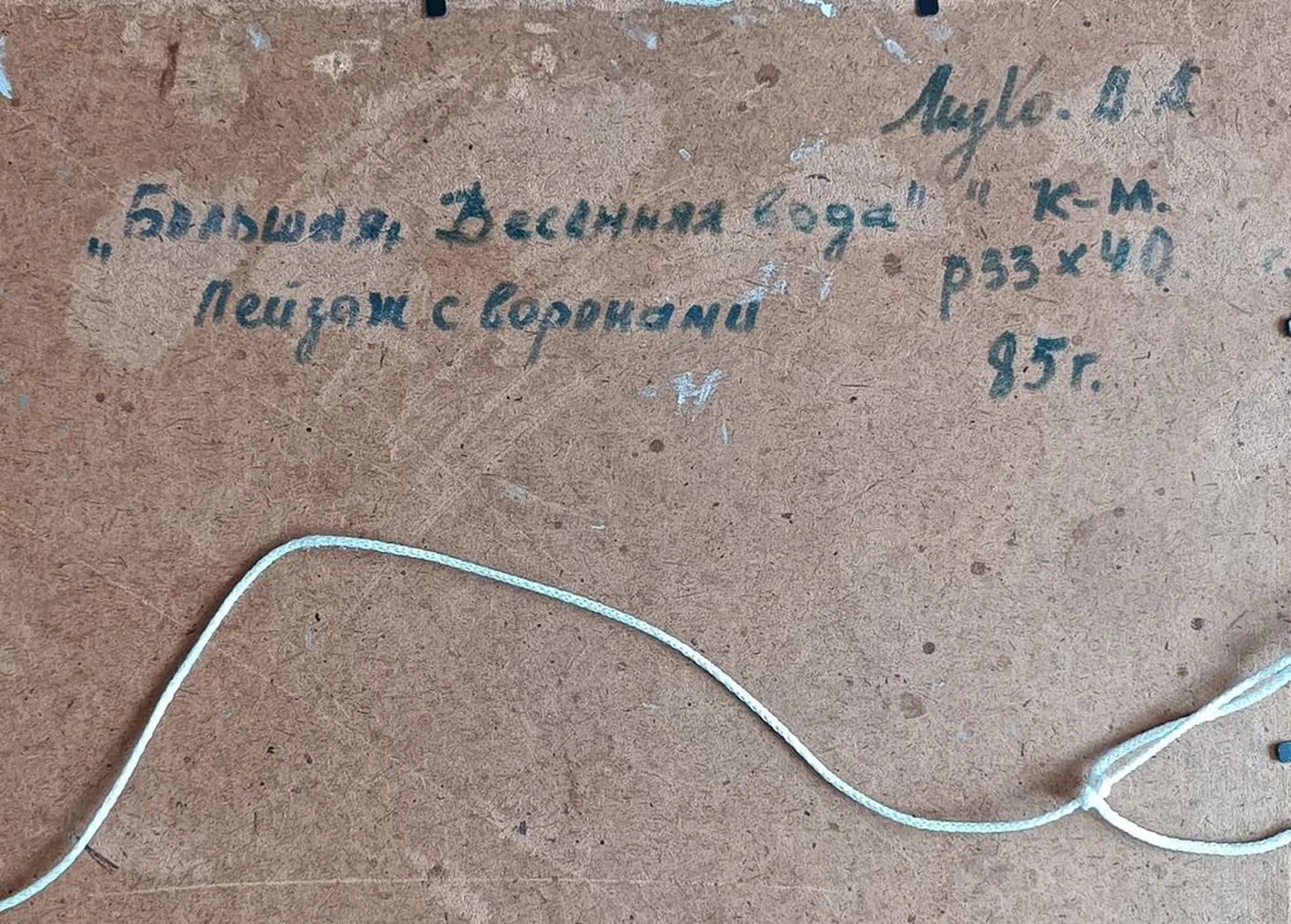 «Большая весенняя вода» Мухо Н.А.