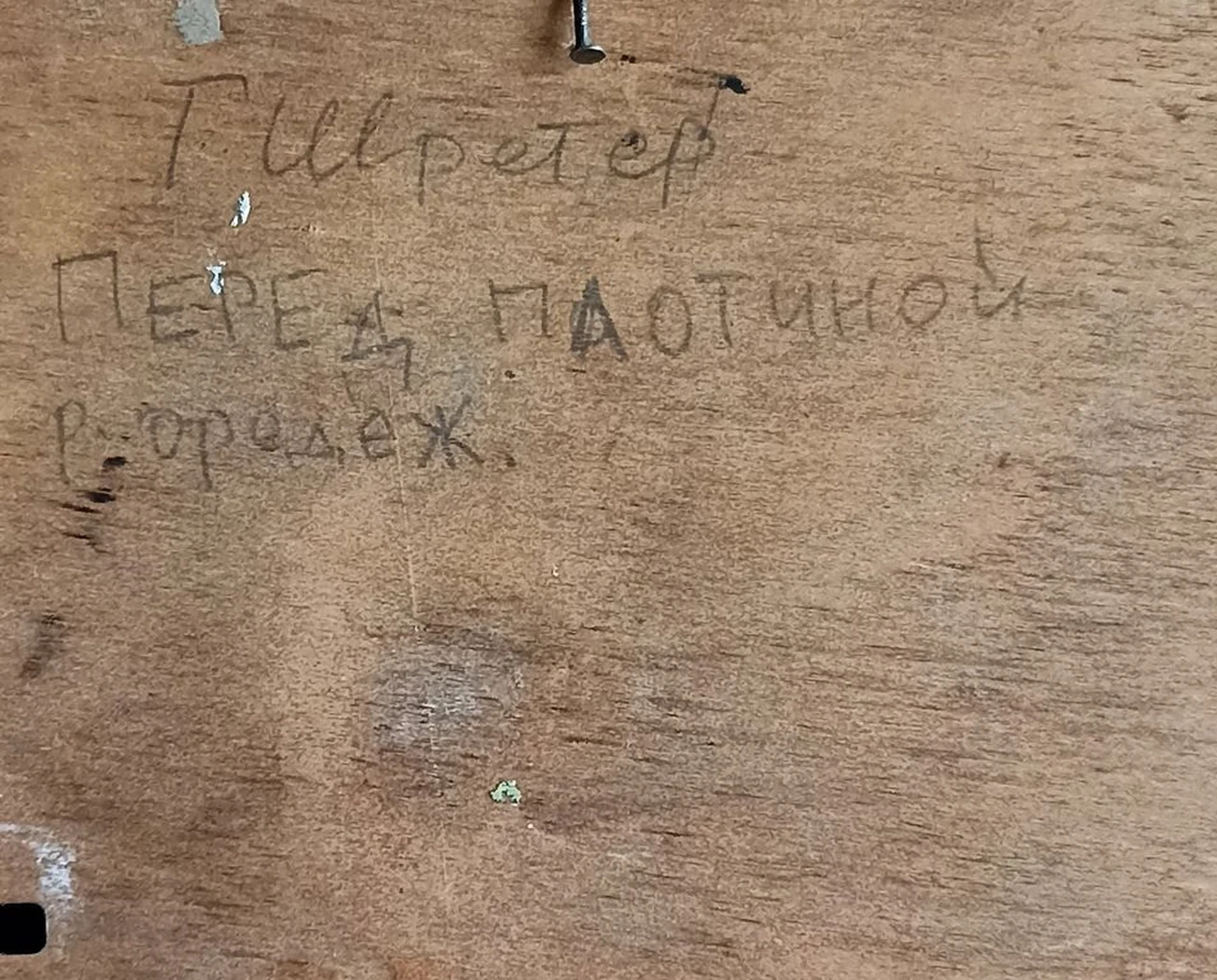 «Перед плотиной. р. Оредеж» Шретер Г.Л.