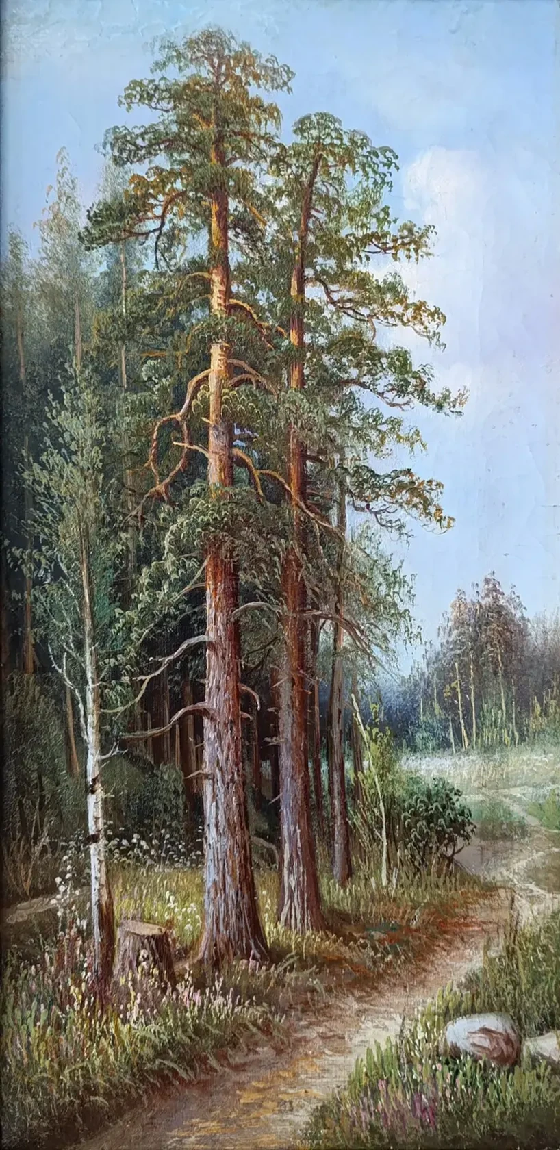 «Сосны»