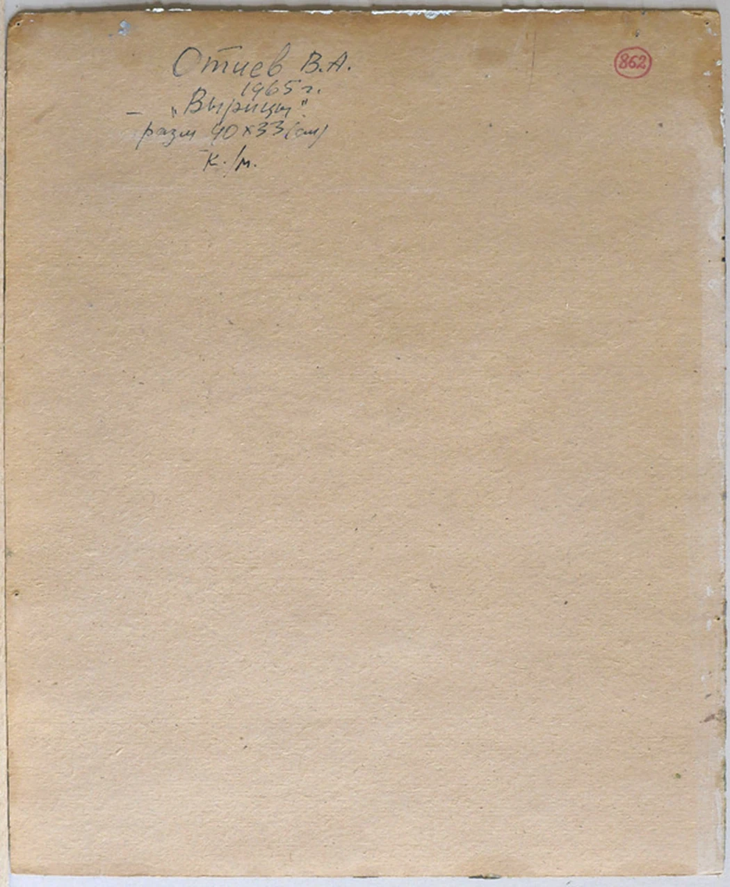 «Вырица», 1965, Отиев В.А.