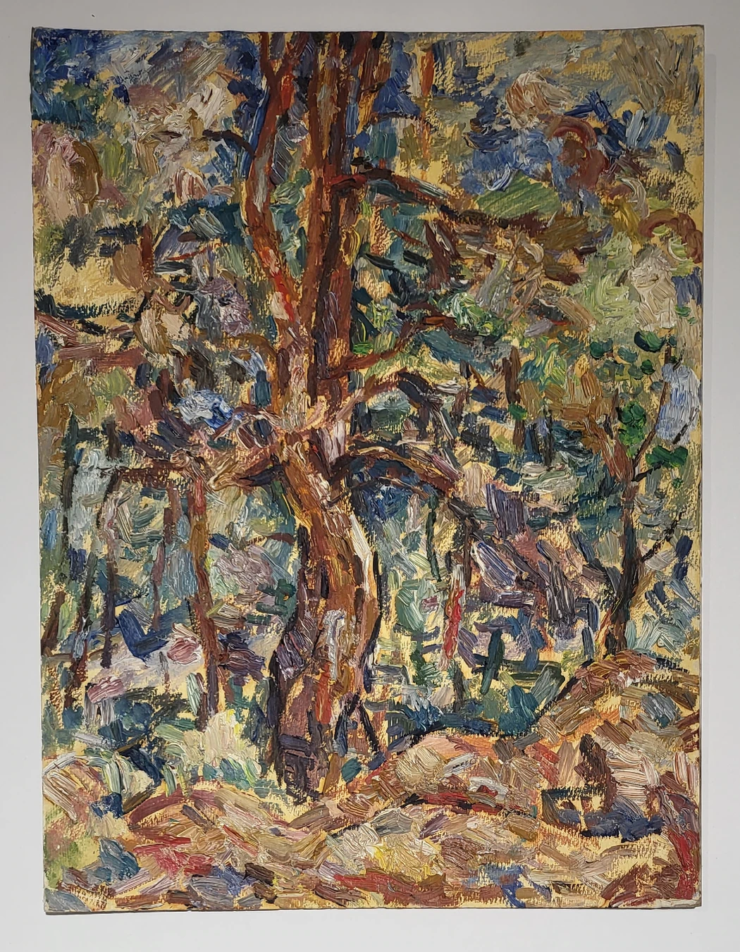 «Лосево.Сосна», Егошин Г.П., художник, купить картину, купить