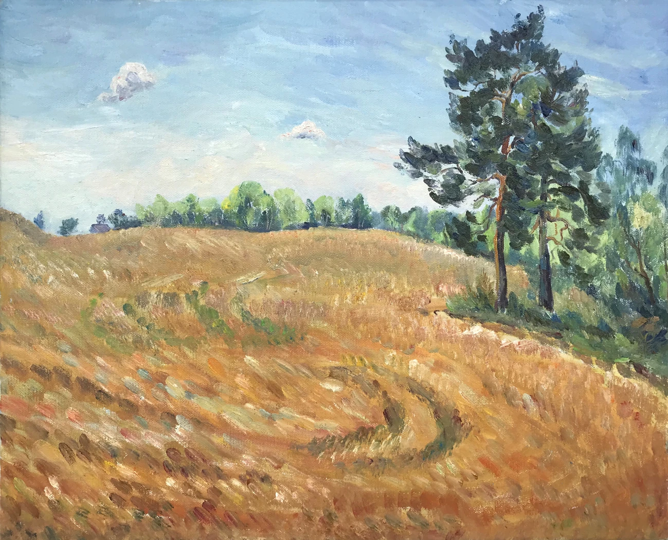 «Пшеничное поле», Егошина Вера, художник, купить картину