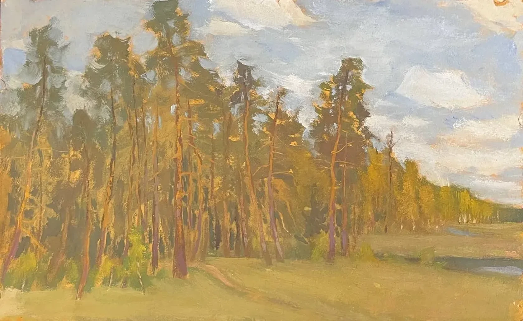«Сосновый лес (близ Валяевки)», Борисов Борис Дмитриевич, художник, купить картину, купить, работы, аукцион, живопись, галерея ОПХ, Bidspirit, бидспирит, магазин