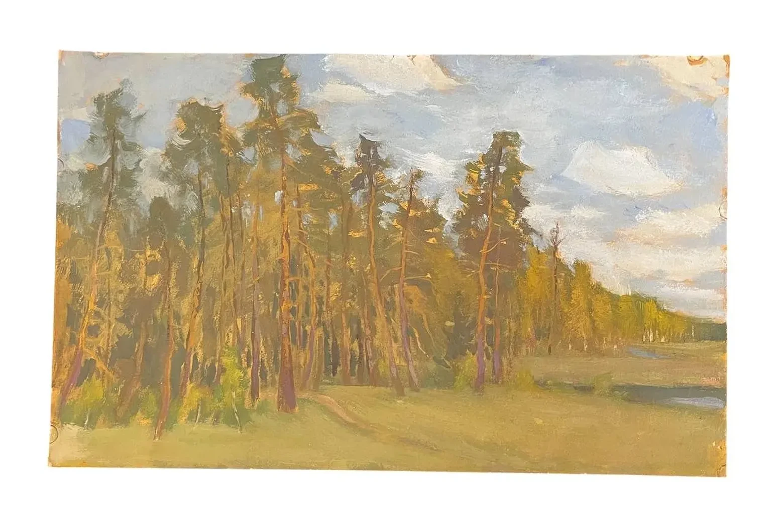 «Сосновый лес (близ Валяевки)», Борисов Борис Дмитриевич, художник, купить картину, купить, работы, аукцион, живопись, галерея ОПХ, Bidspirit, бидспирит, магазин