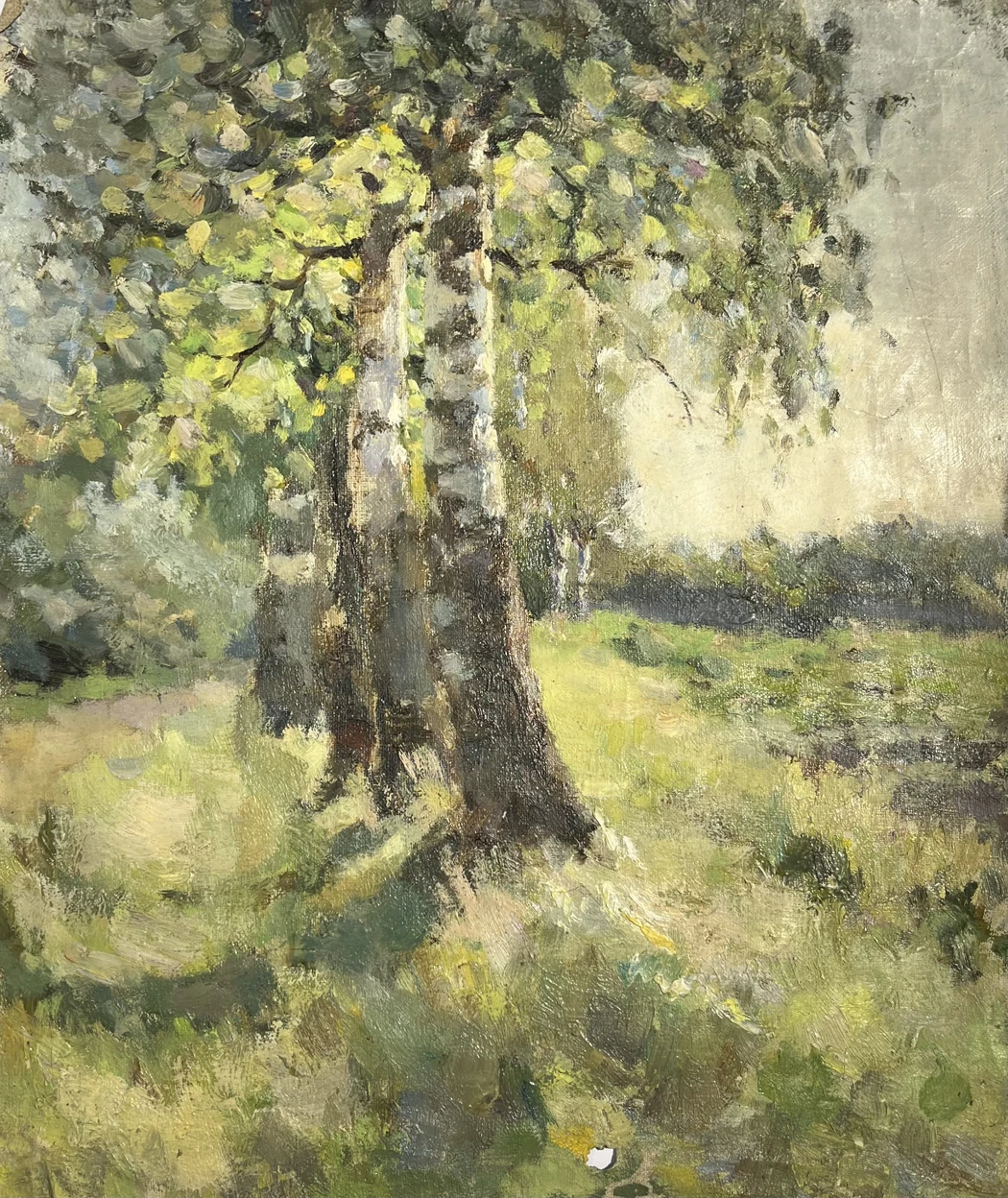 «Березки»
