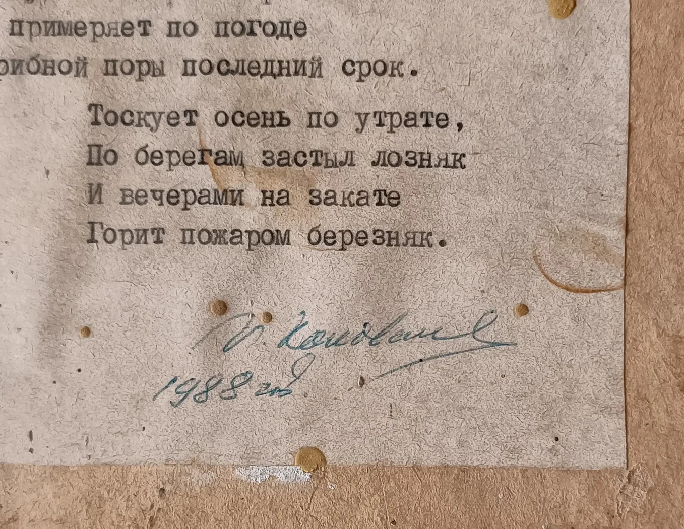 «Грибная пора»