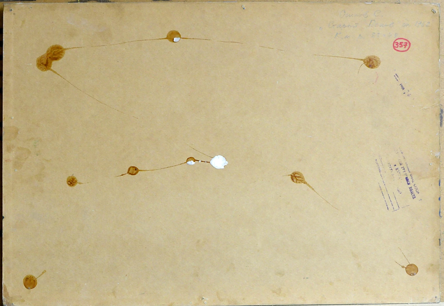 «Старый Псков», 1962, Осипов С.И.