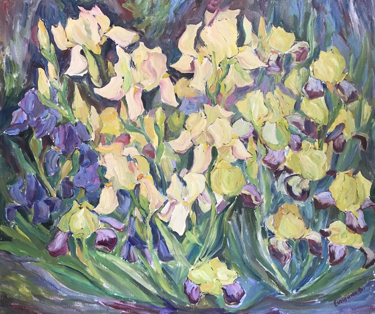 «Ирисы», Егошина Вера, художник, купить картину