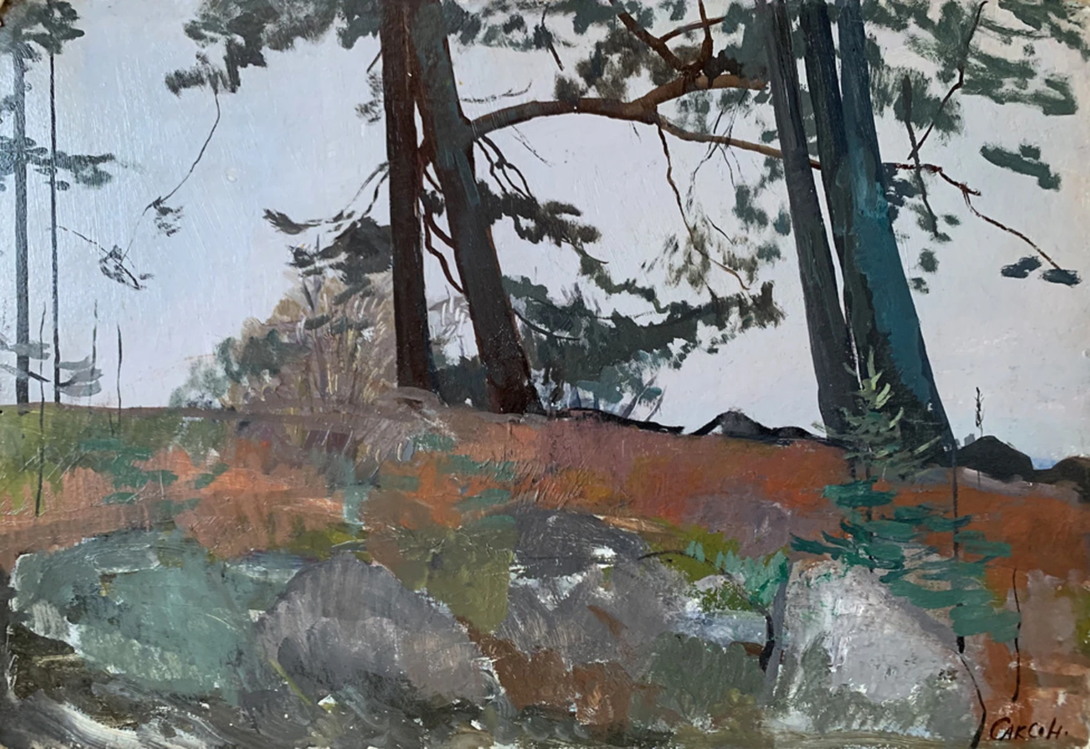 «Этюд», 1960-е, Саксон В.С.