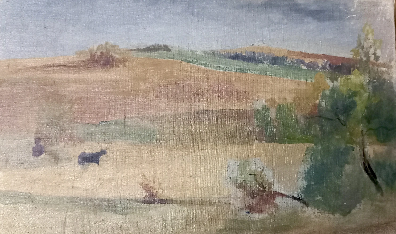 «Простор», Белаковская Виктория Марковна, художник, купить картину