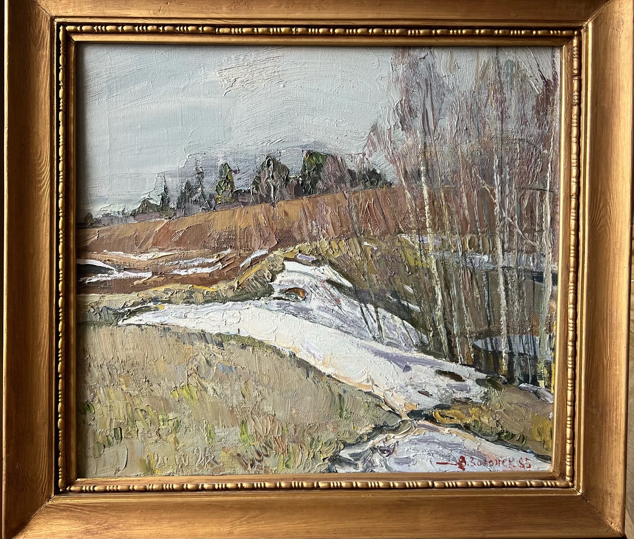 «Остатки снега»,В.Занонек 
