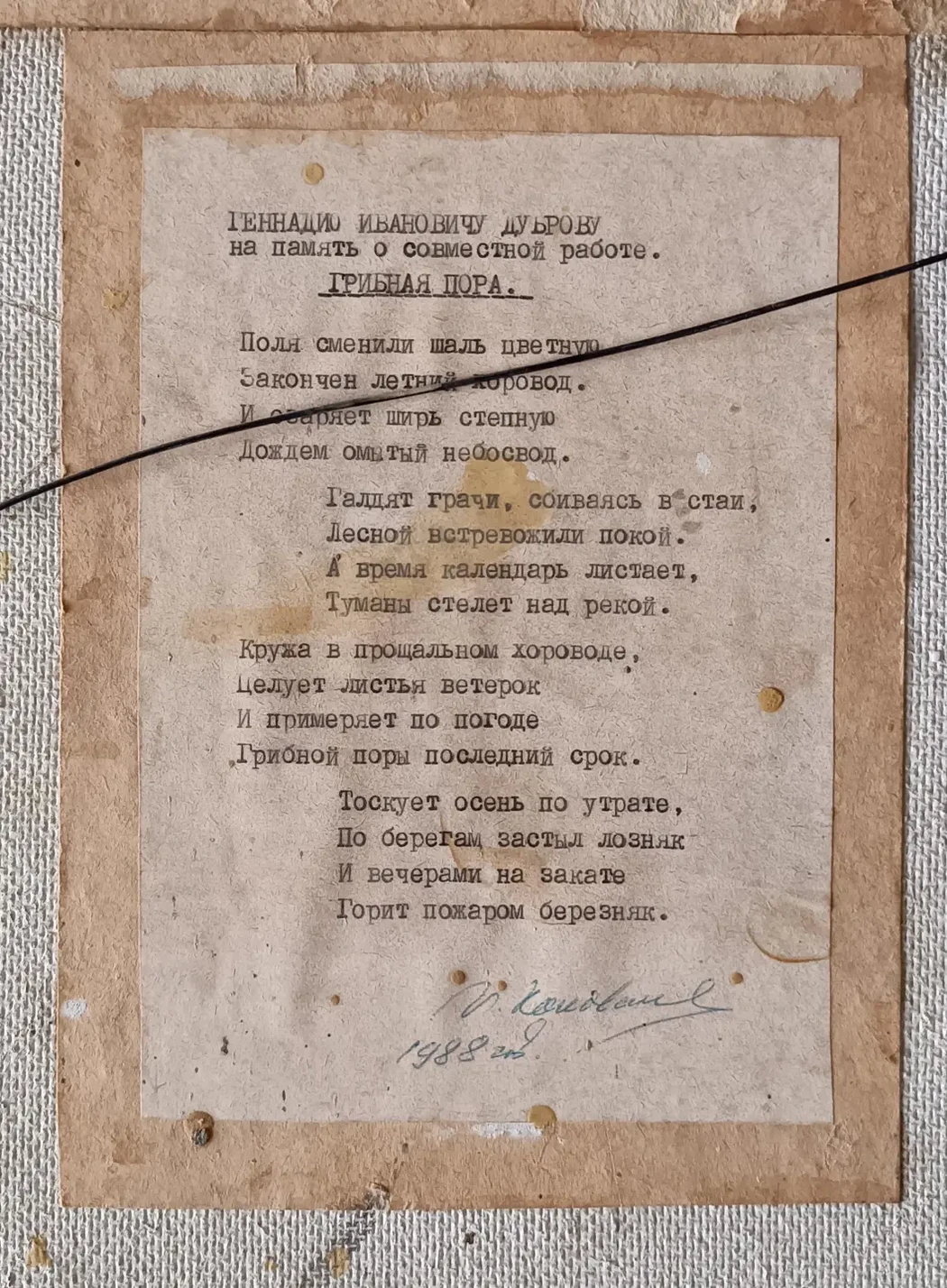 «Грибная пора»