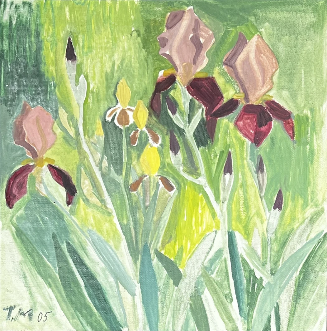 «Ирисы», Макавеева Галина Александровна, художник, купить картину