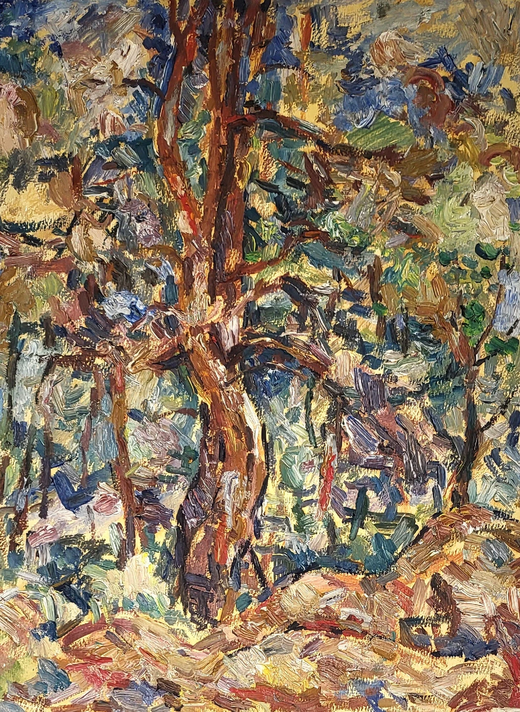 «Лосево.Сосна», Егошин Г.П., художник, купить картину, купить