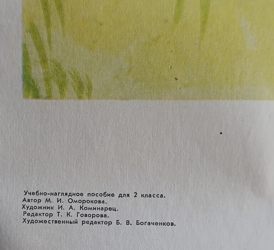 «Шефы пришли»