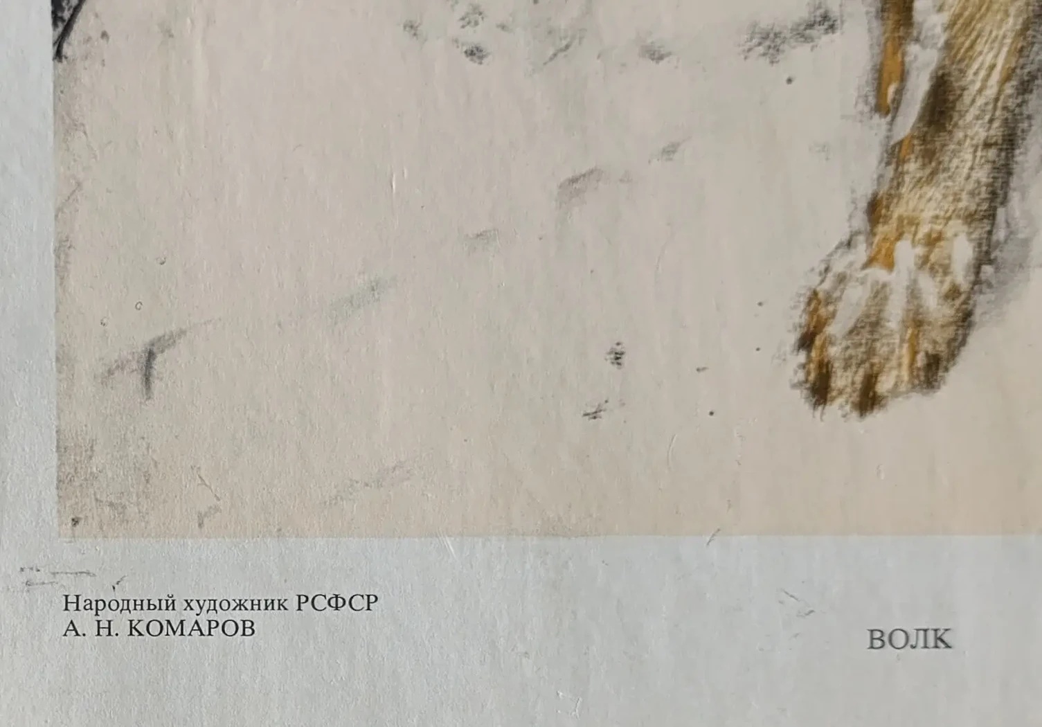 «Волк» Комаров А.Н.