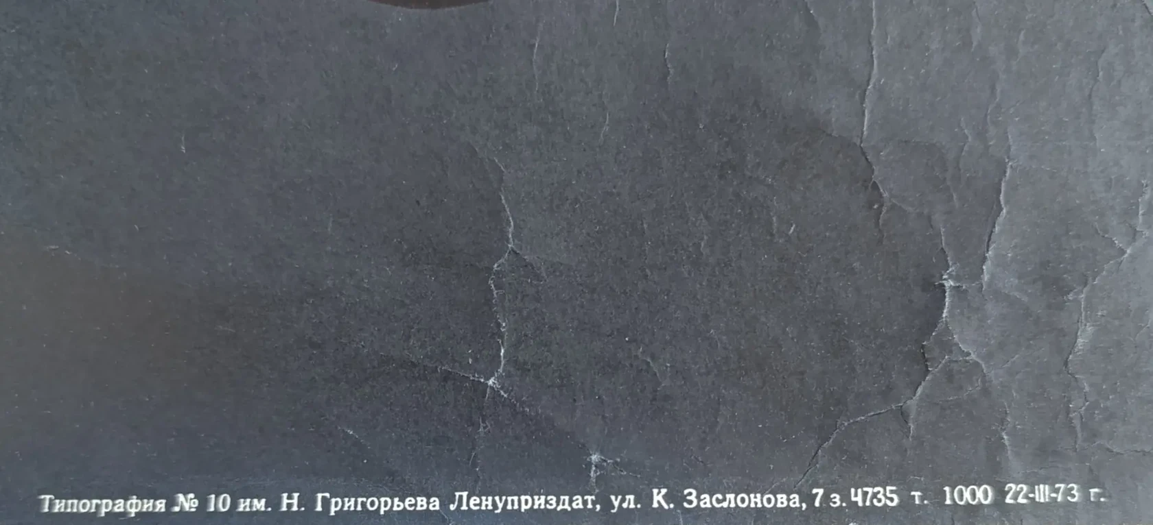 «Раздумье о цветах»
