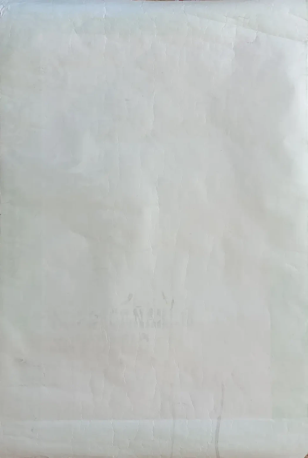 «Михайловский затворник» Айрапетянц Л.Е.
