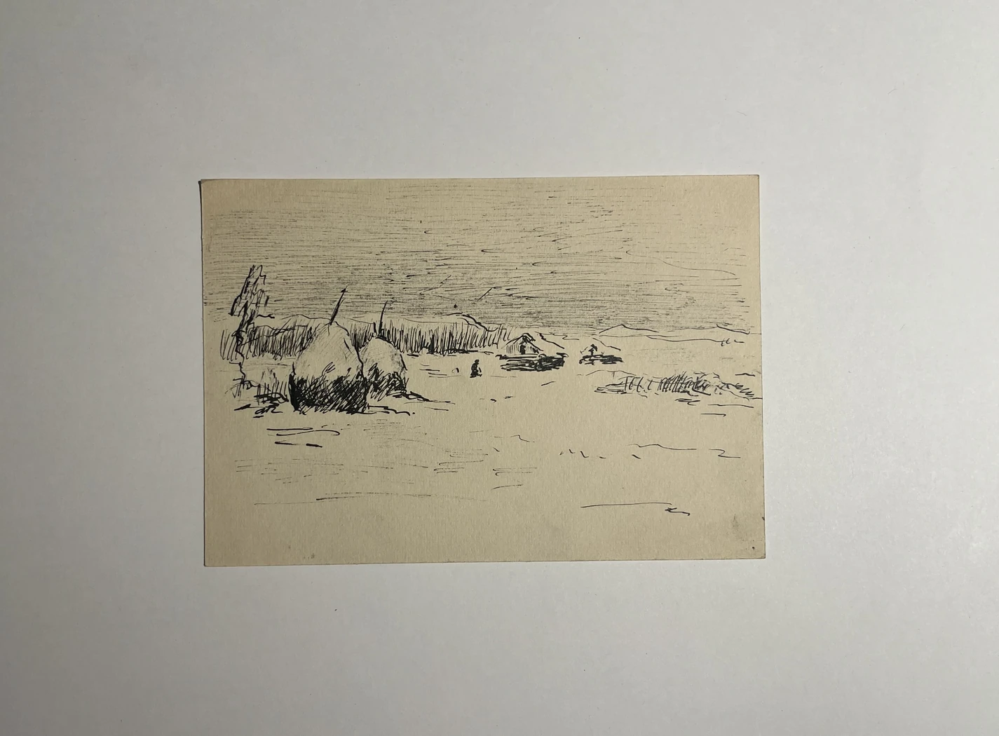 «Поле»,Рахина В.И.