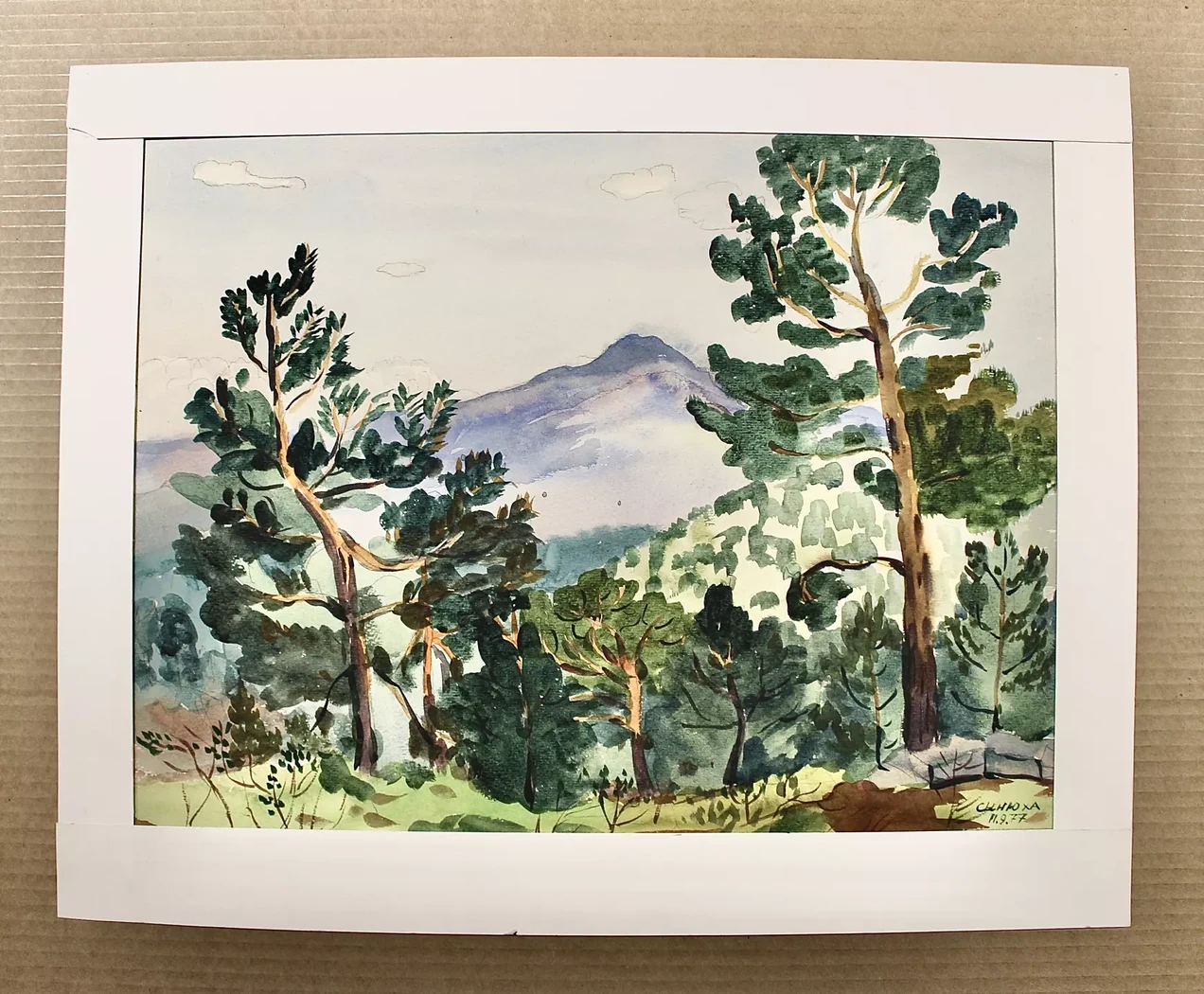 «Синюха», Кукушкин О.Г., 1977