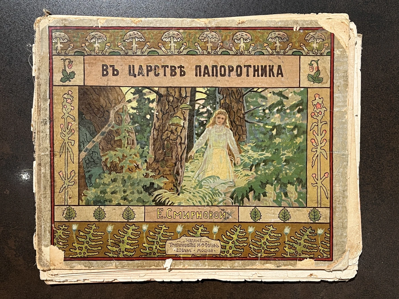 В царстве папоротника