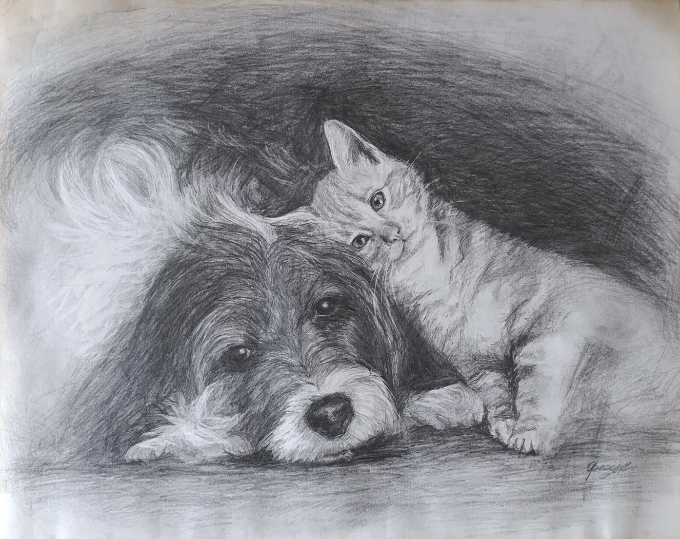 «Собака и кошка»