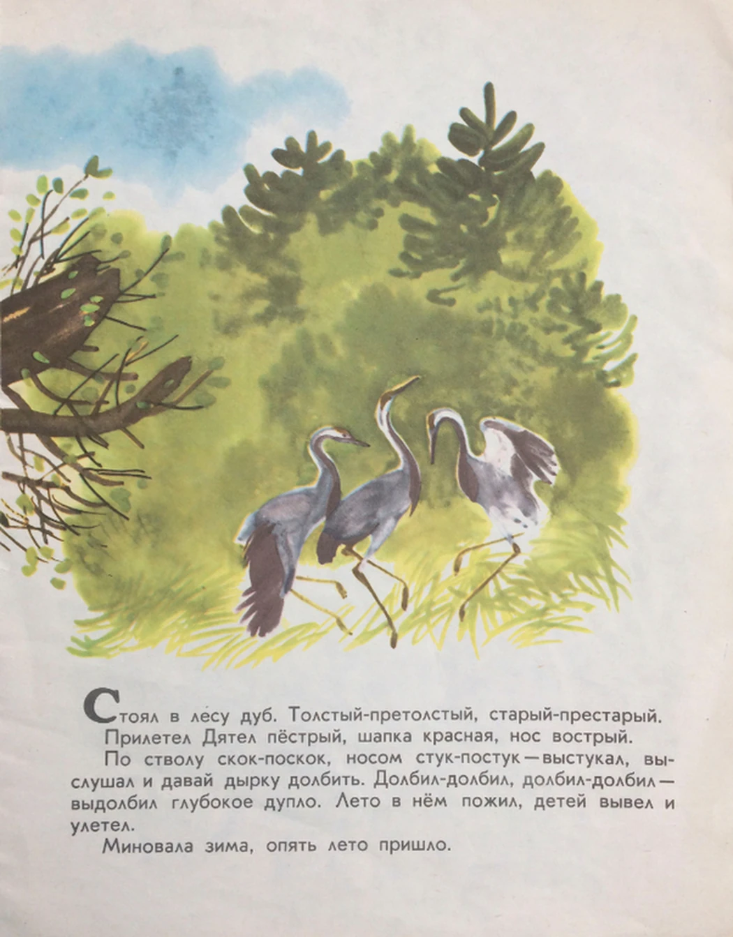 «Теремок» Капустина Т.П.