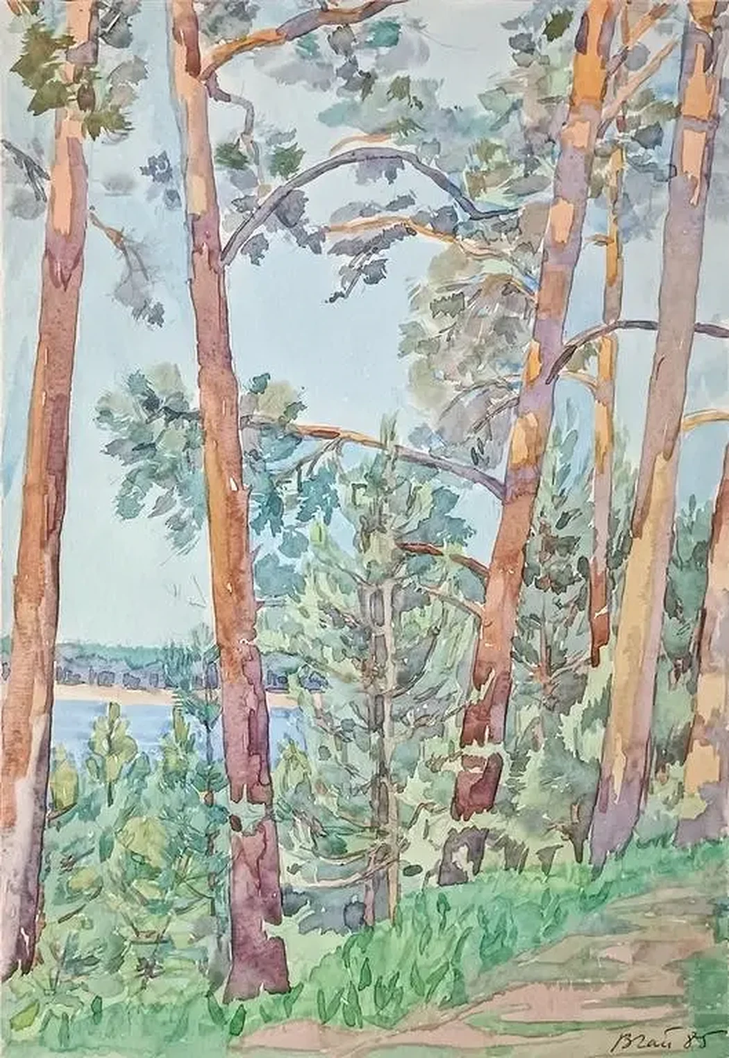 «Сосны»