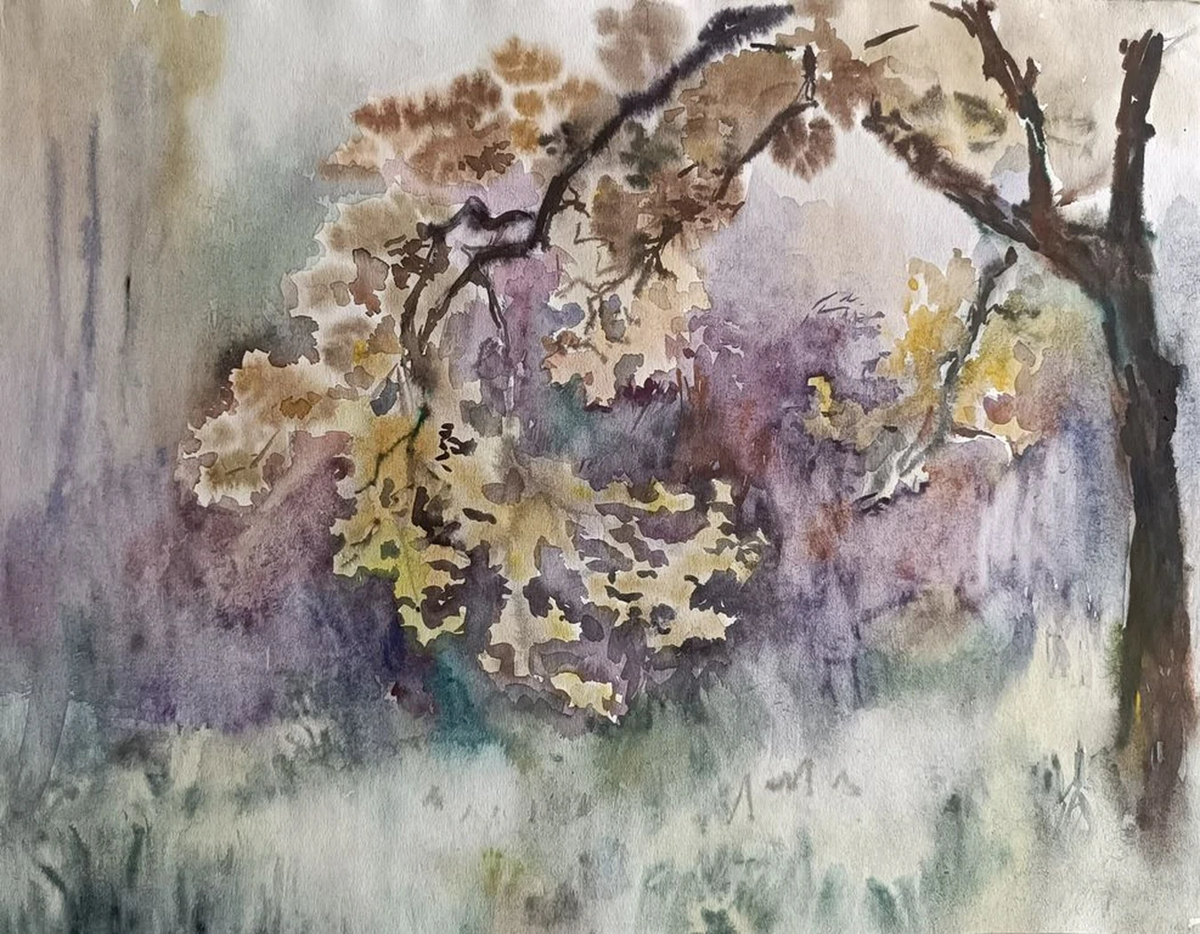 «Клён» Цибульник В.А.