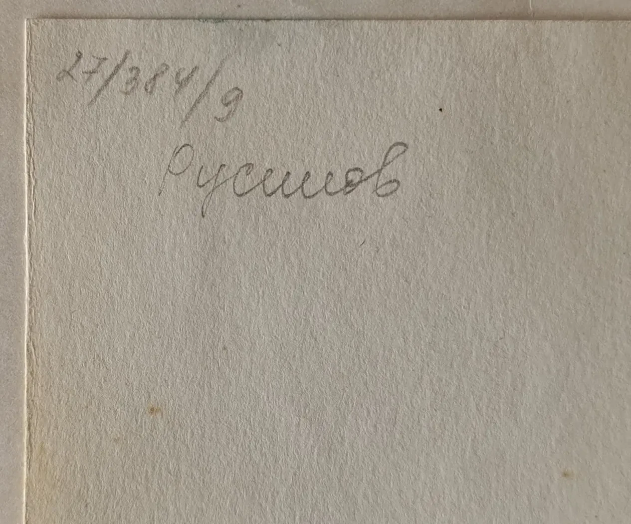 «Летний сад. Зима»