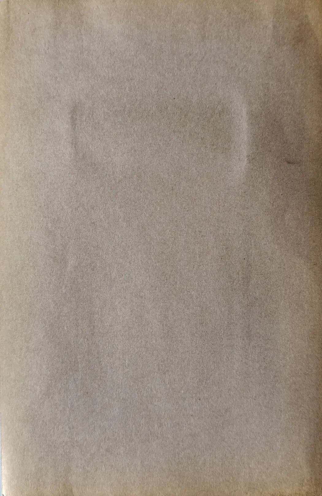 «Портрет»
