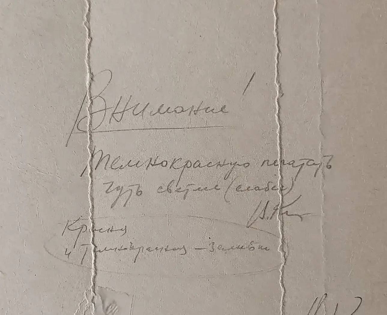 «Выполним решения XXV съезда КПСС!»