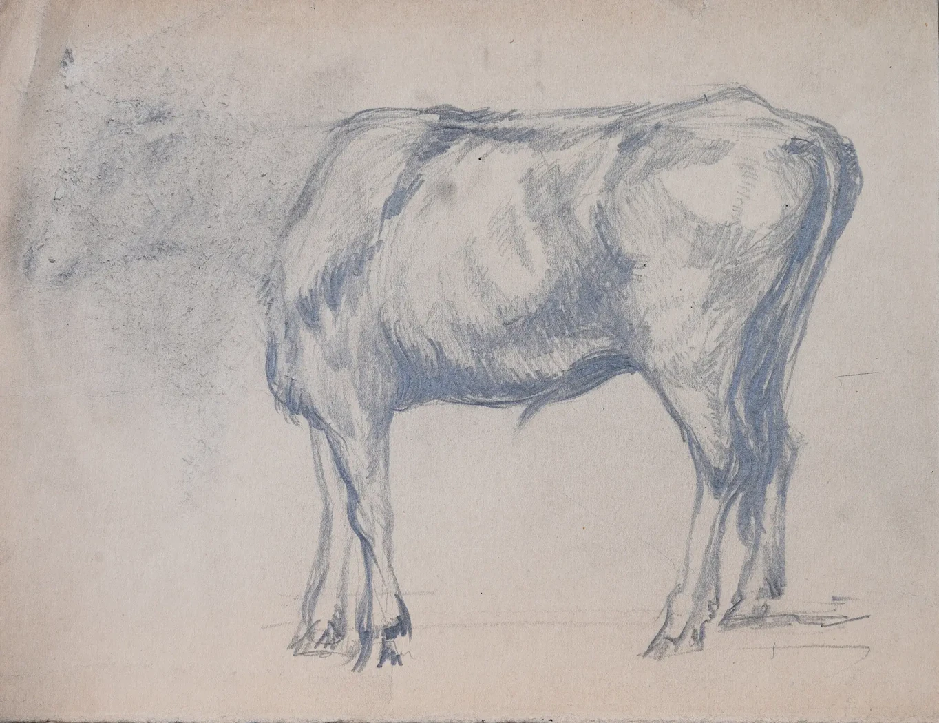 «Корова», 1959 г., Васильев Анатолий Ильич, художник, купить картину.