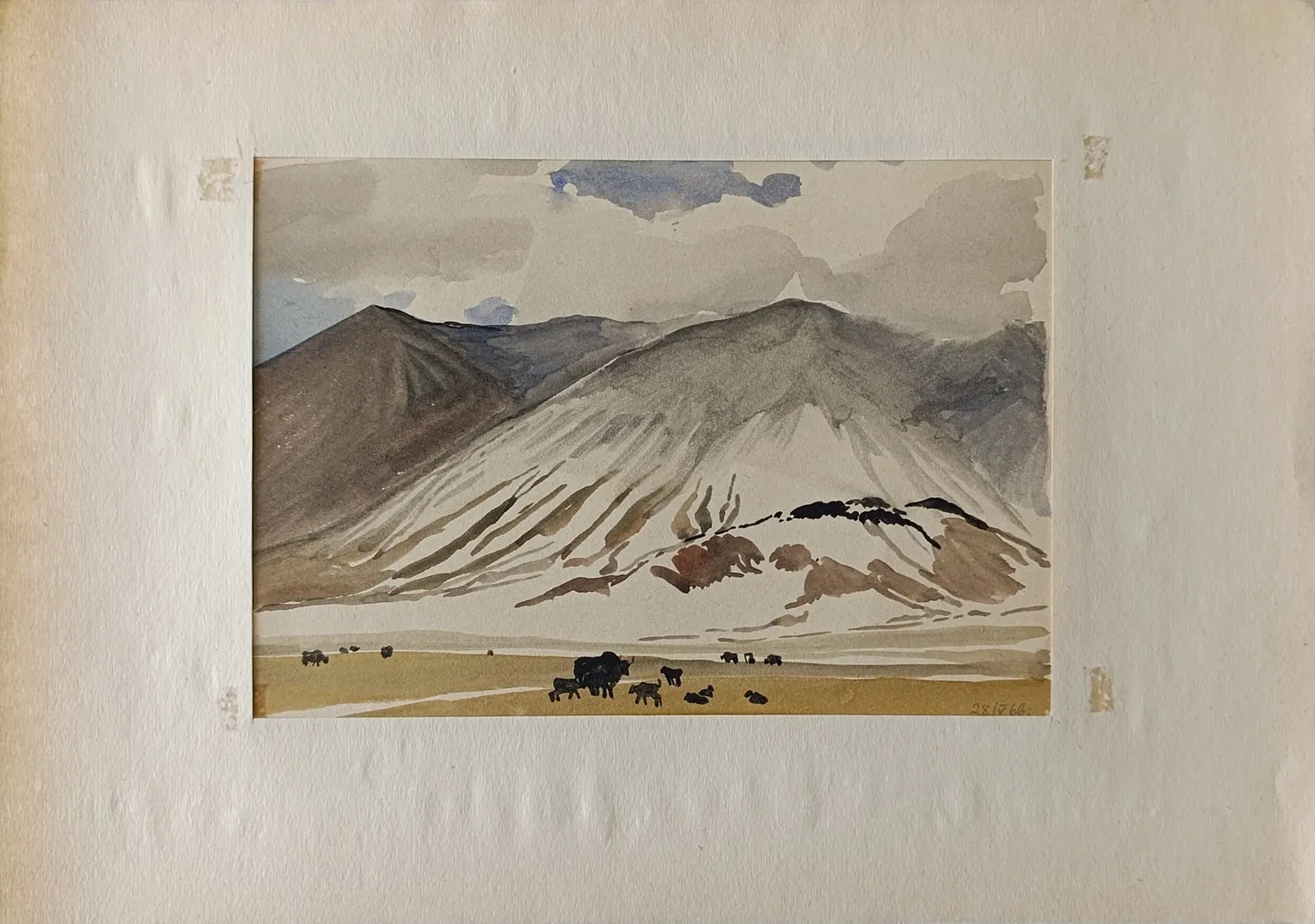 «Памир. Яки»