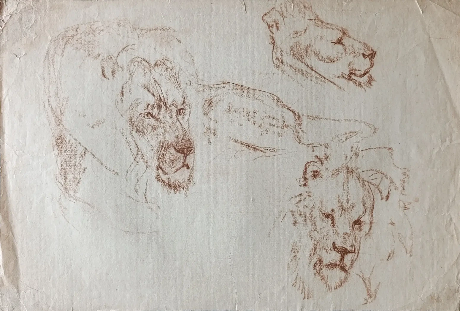 «Львы» Варгачев-Новиков В.М.