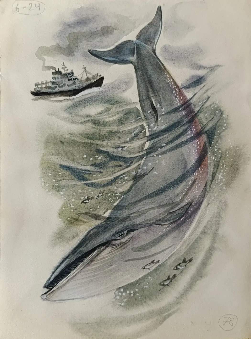 «Кит» Капустина Т.П.