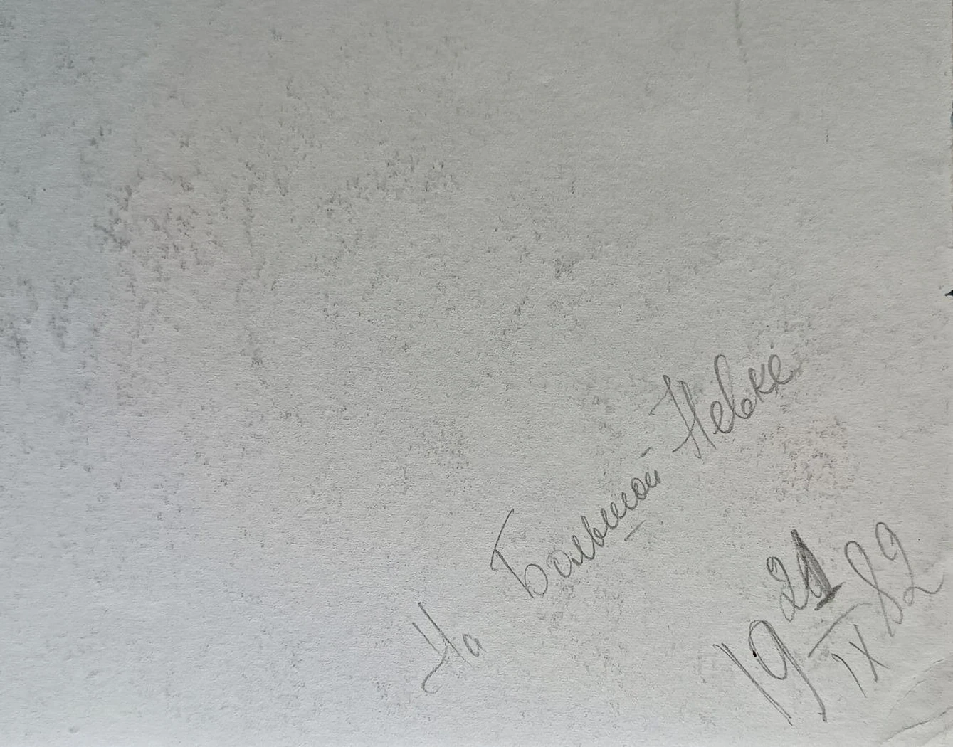 «На Большой Невке»