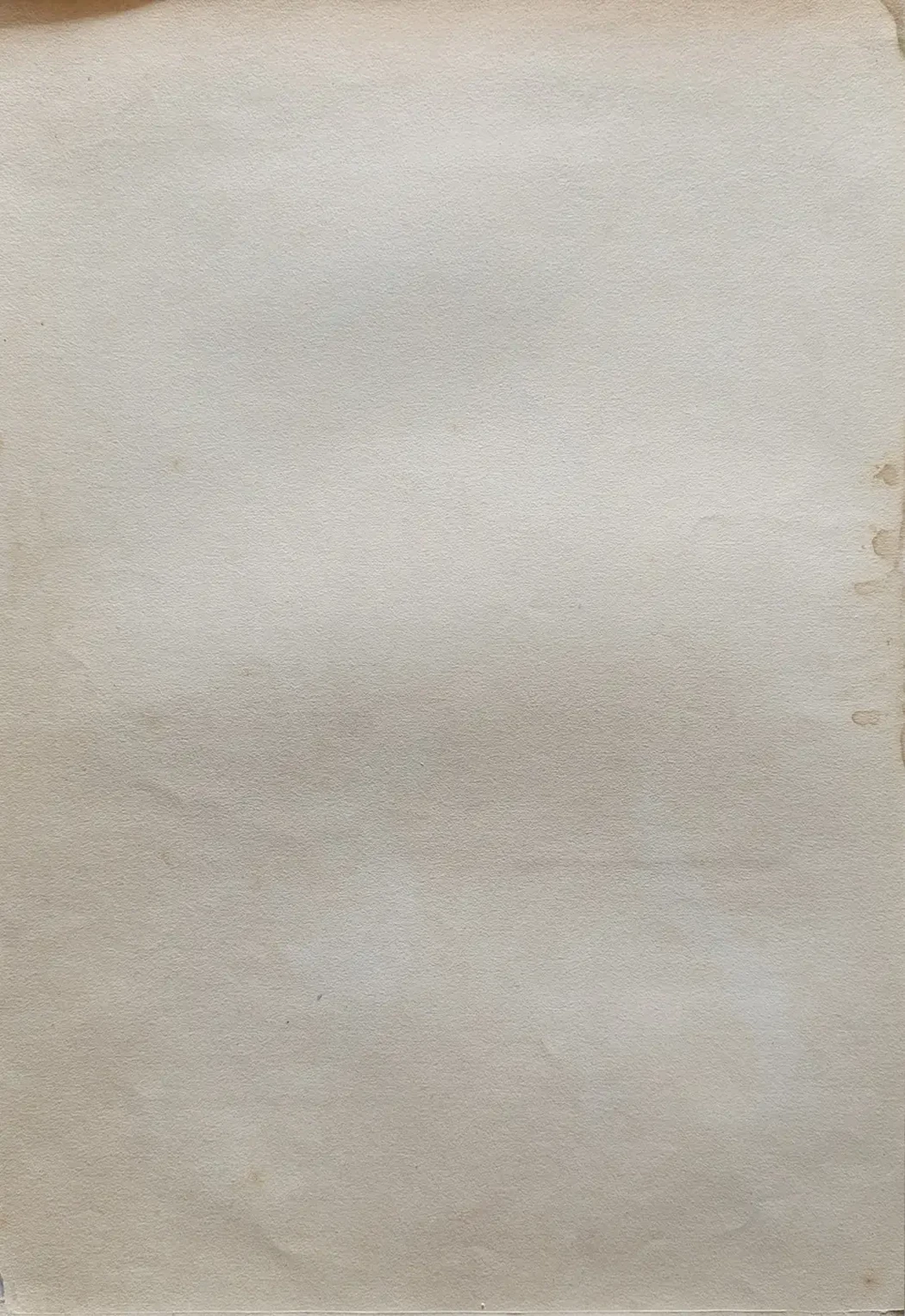 «Святая»