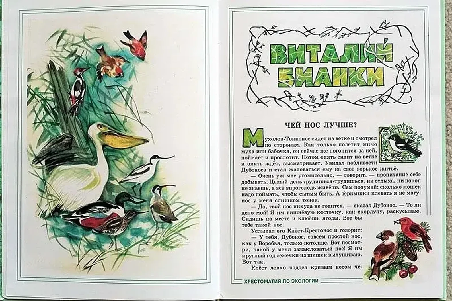 «Чей нос лучше?»