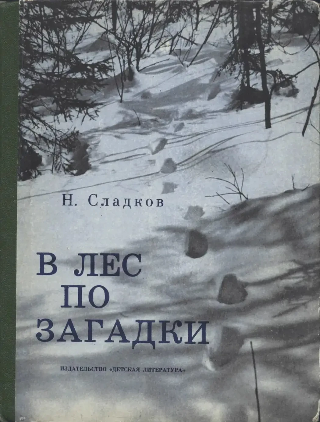 «В лес по загадки. Цапля»