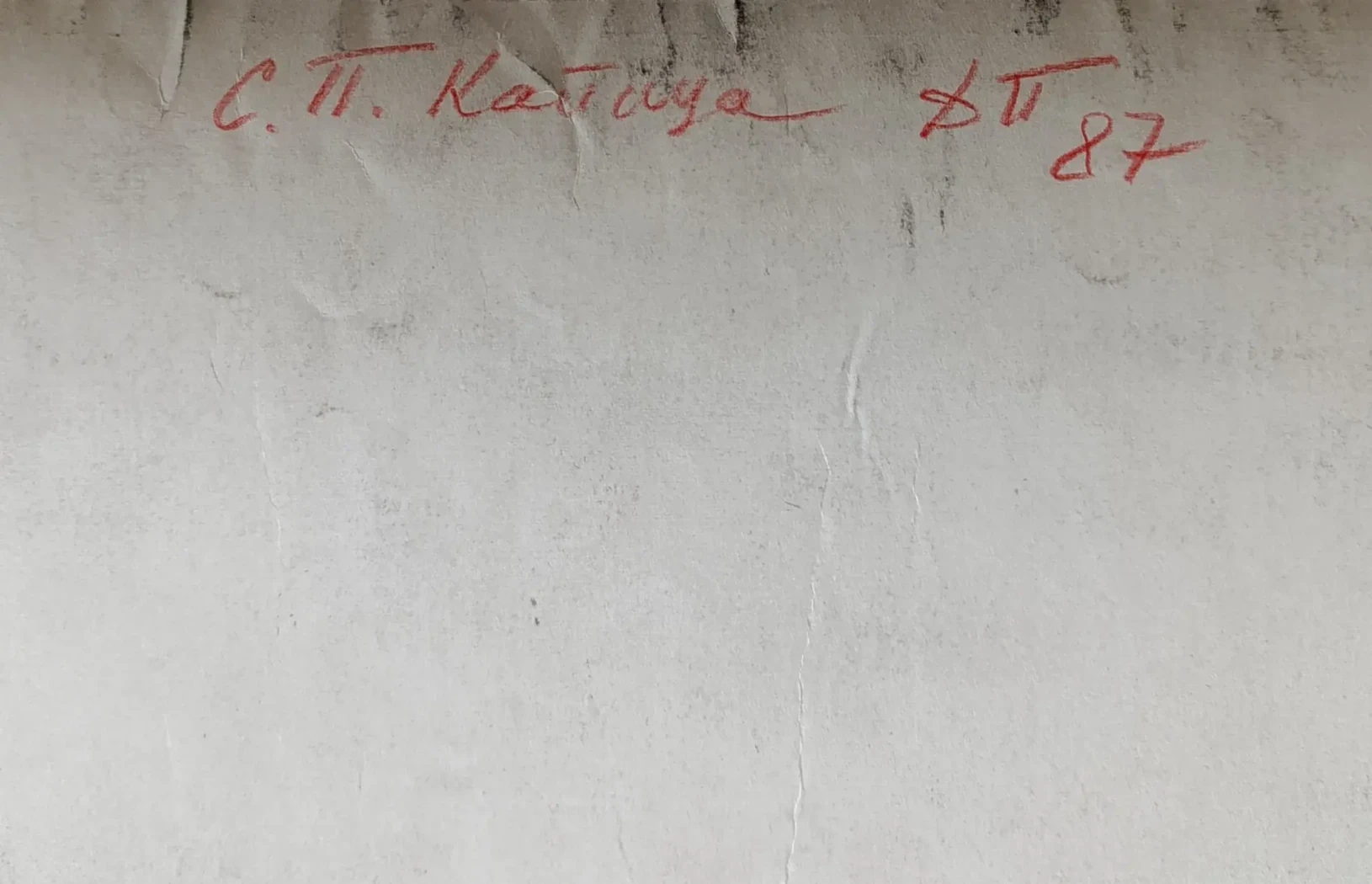 «Капица С.П.»