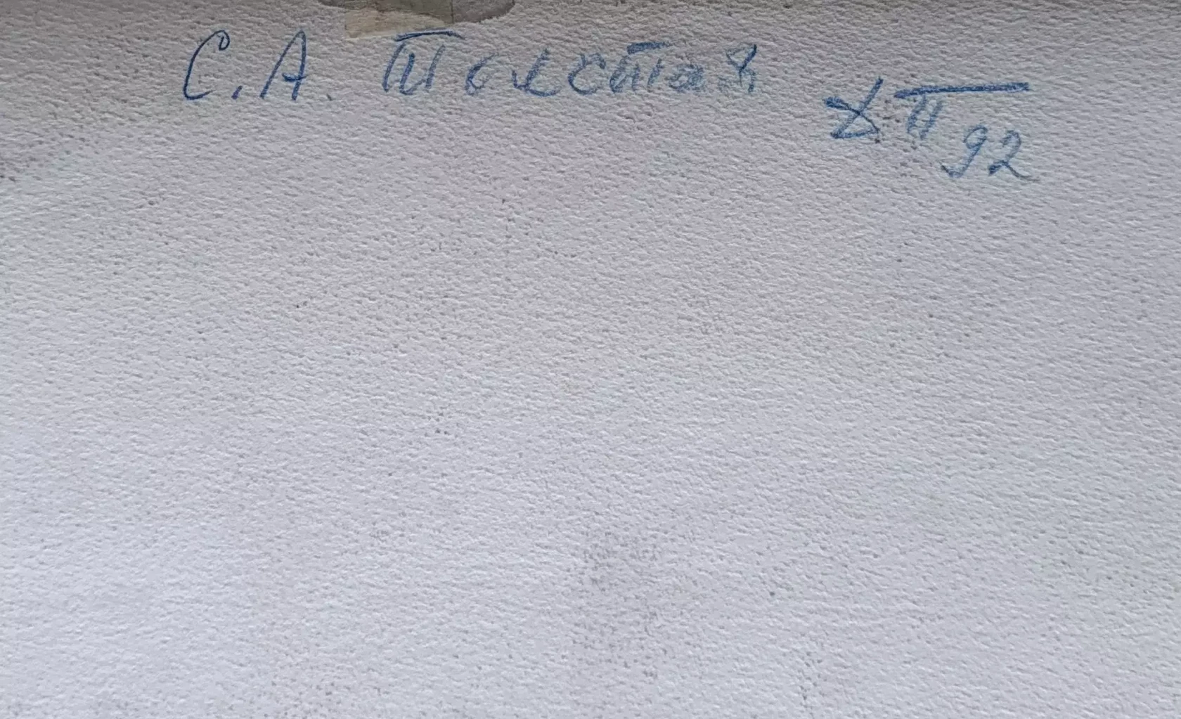 «Графиня Толстая С.А.»