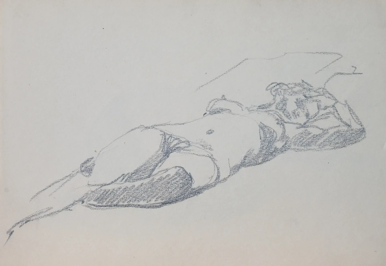 «Натурщица», 1959 г., Васильев Анатолий Ильич, художник, купить картину.