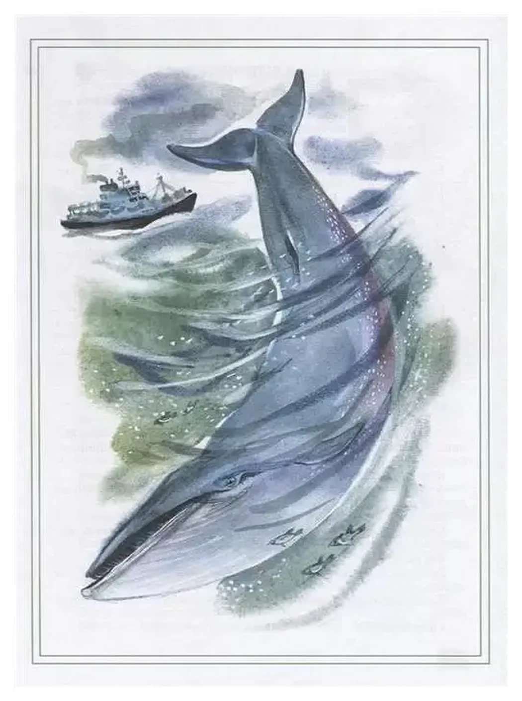«Кит»