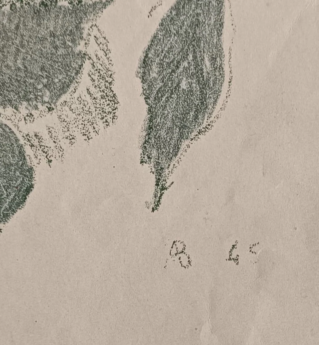 Розы, Ведерников Александр Семёнович, бумага, литография, 24x30 см, лист: 47х31 см, 1945