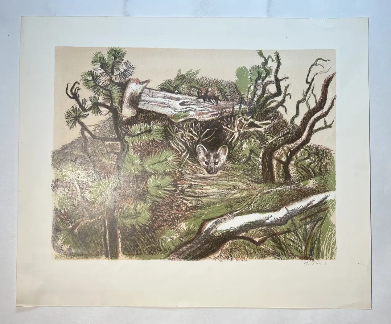 «Зверек», Галеркина Елена Александровна, художник, купить картину.