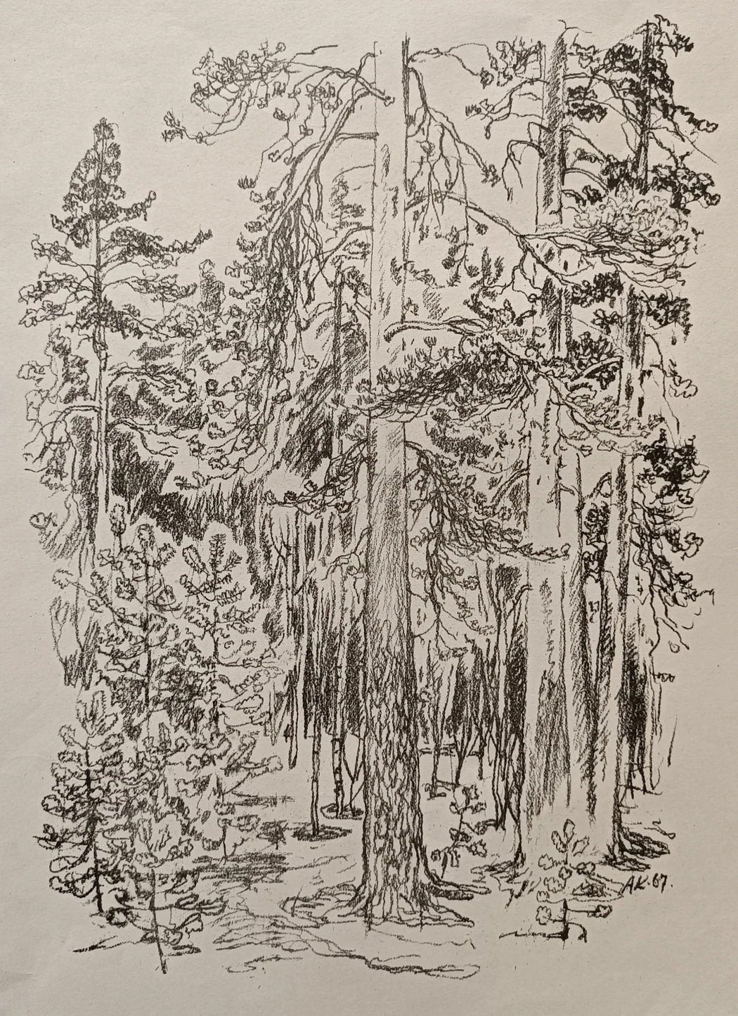 «Лесной пейзаж» Ковалев А.С.
