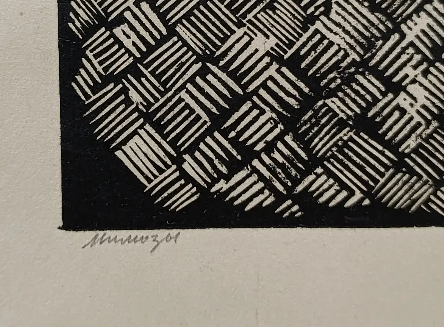 «Мимозы»