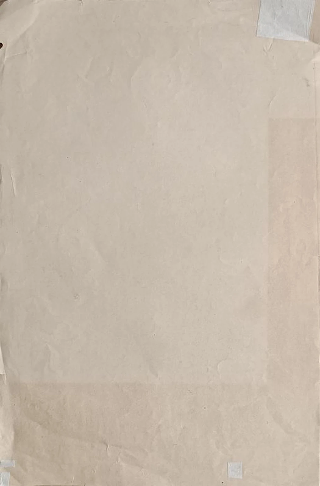 «Розы» Ведерников А.С.
