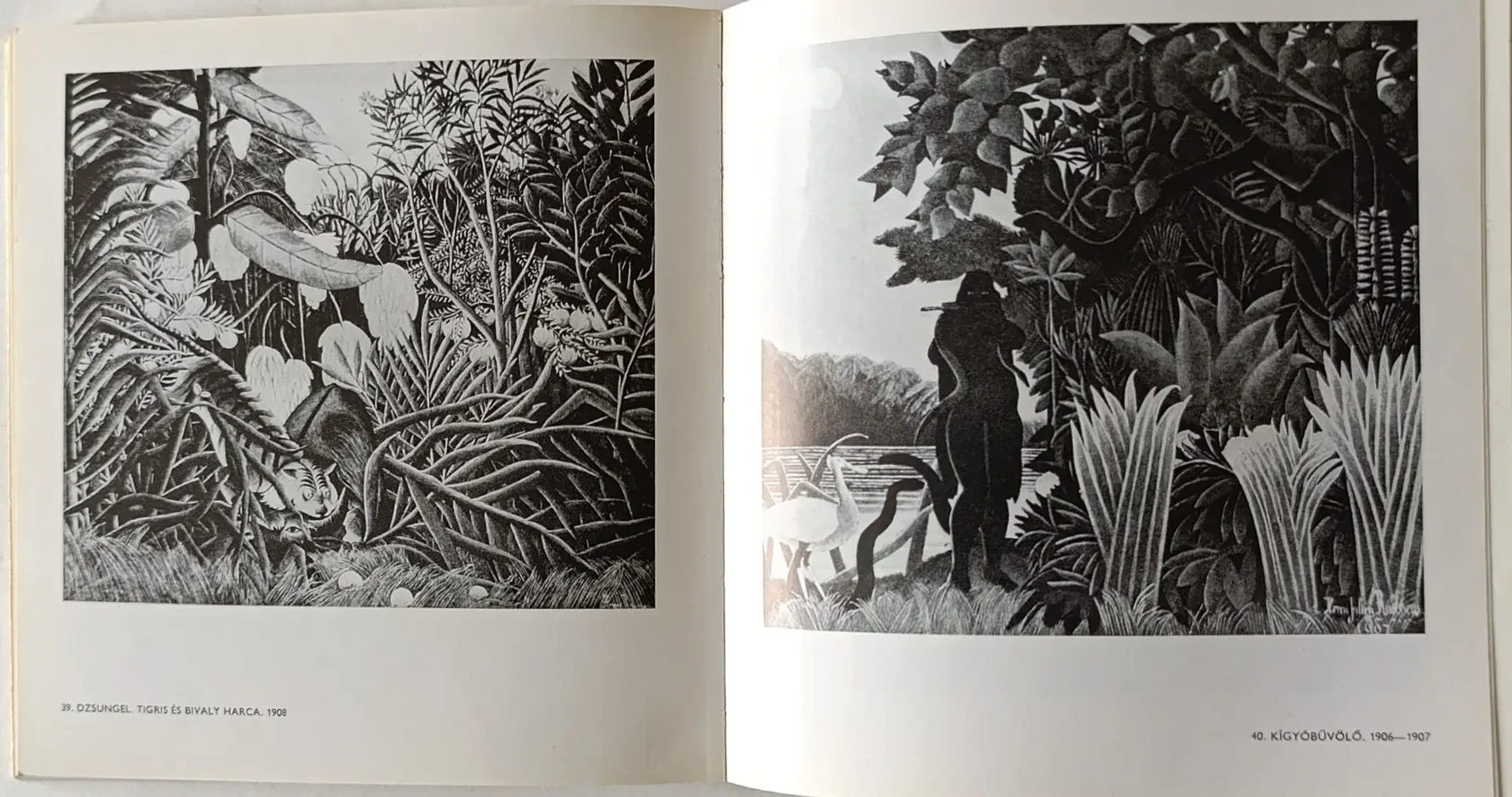 «Henri Rousseau»